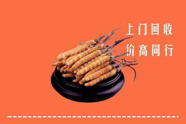 高价求购：江永县回收散虫草